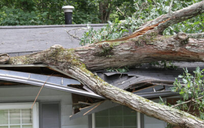 How to Prepare for Your Weather Damage Repair