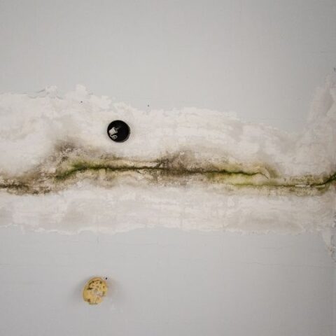 Leaky Roofs - Covenant Solar & Roofing