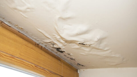 Leaky Roofs - Covenant Solar & Roofing